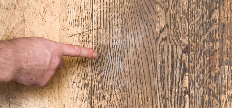 Wood Door Scratch Repair in Paramount